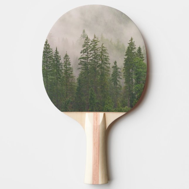 Raquette De Ping Pong Les arbres de la forêt de Foggy (Devant)