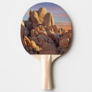 Raquette De Ping Pong Les Etats-Unis, la Californie, parc national