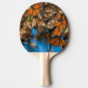 Raquette De Ping Pong Les papillons monarques migrateurs s'accrochent au