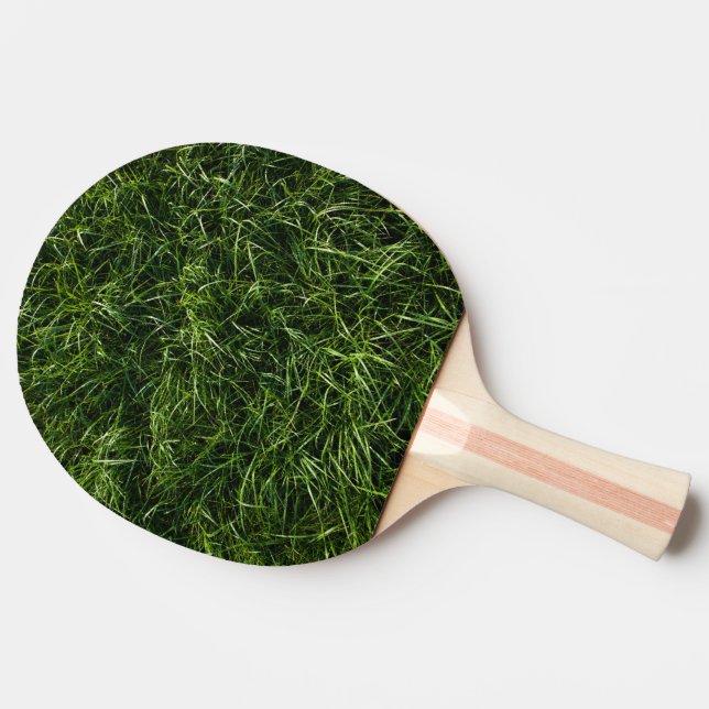 Raquette De Ping Pong L'herbe est toujours une palette plus verte de (Côté)
