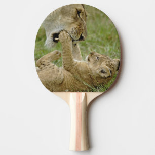 Raquette De Ping Pong Lionceau Jouant