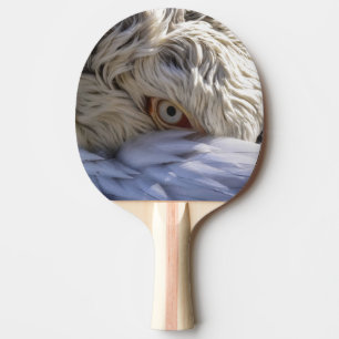 Raquette De Ping Pong L'oeil d'un pélican