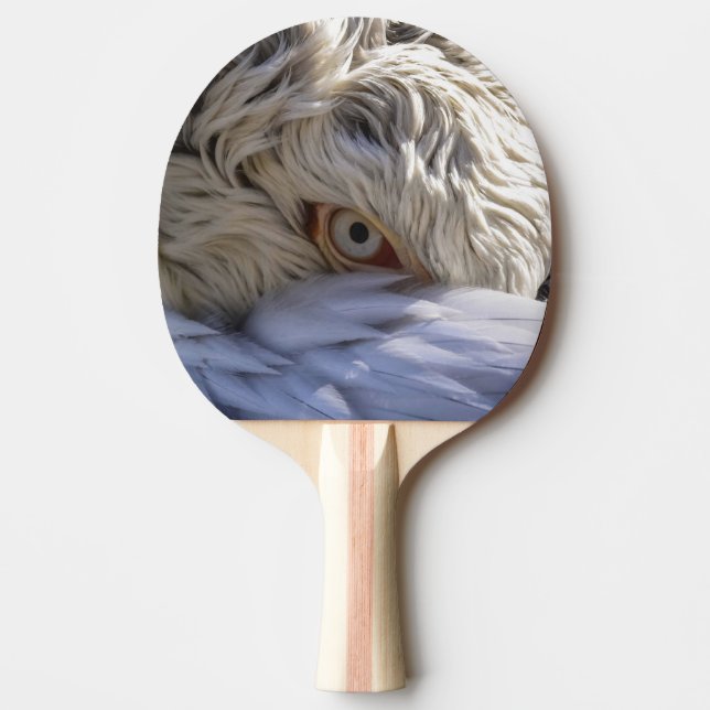 Raquette De Ping Pong L'oeil d'un pélican (Devant)