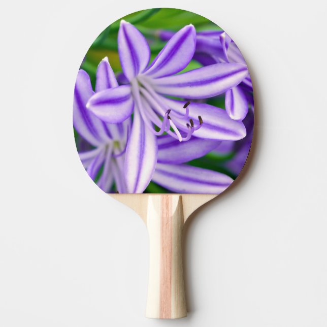 Raquette De Ping Pong Lys africain exotique (Devant)