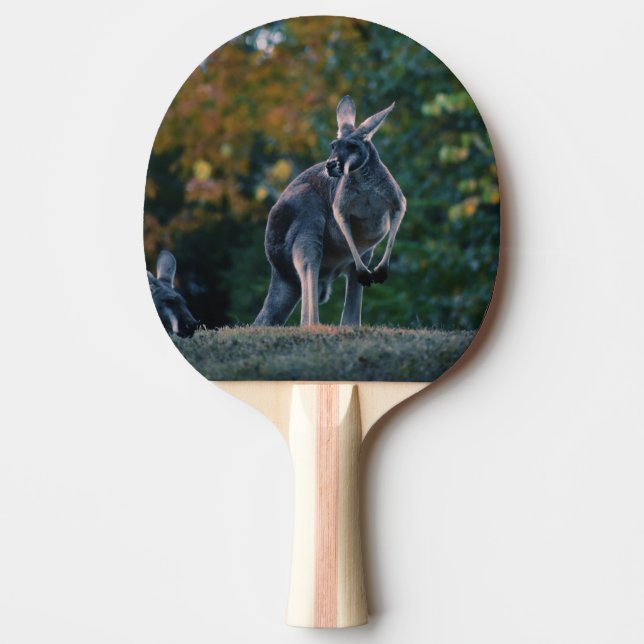 Raquette De Ping Pong Majestic Kangaroo (Devant)