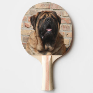 Raquette De Ping Pong Mastiff anglais