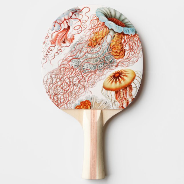 Raquette De Ping Pong Méduses, Discomedusae par Ernst Haeckel (Devant)