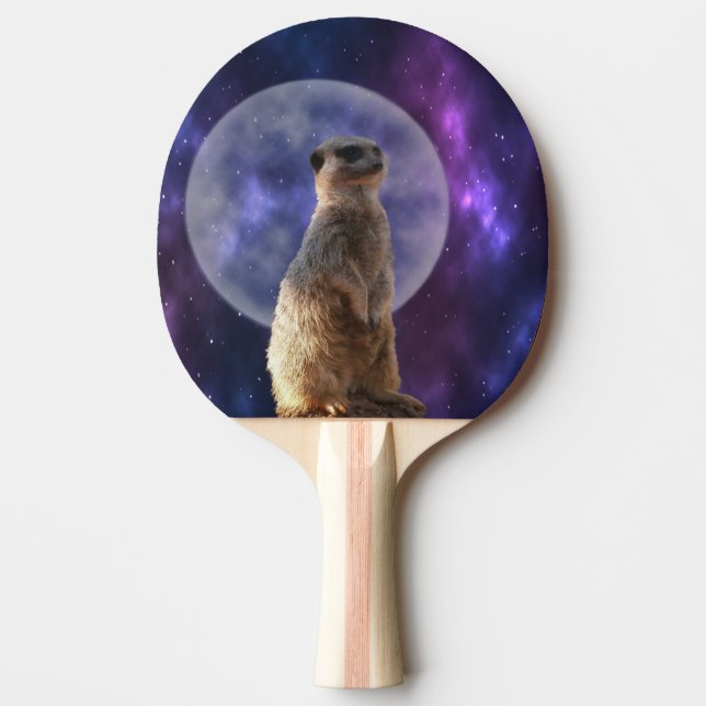 Raquette De Ping Pong Meerkat Sur Blue Moonlight Night Watch, (Devant)