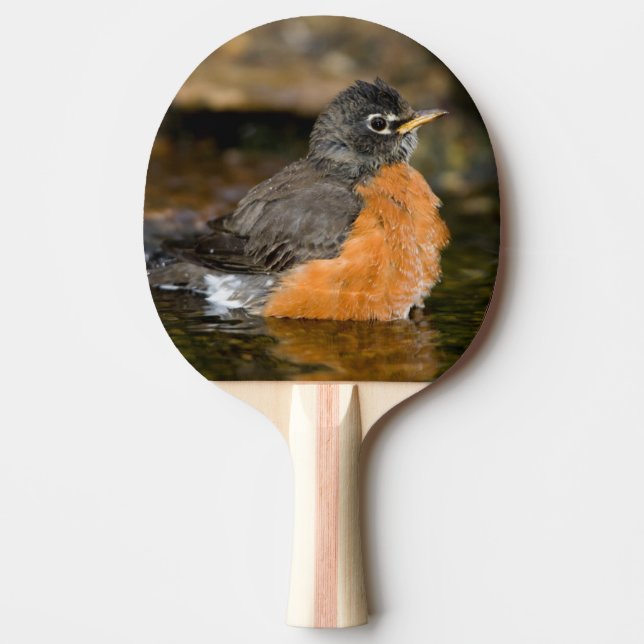 Raquette De Ping Pong Merle américain se baignant 2 (Devant)