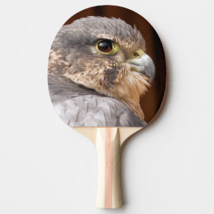 RAQUETTE DE PING PONG MERLIN FALCON OISEAU DE PREY