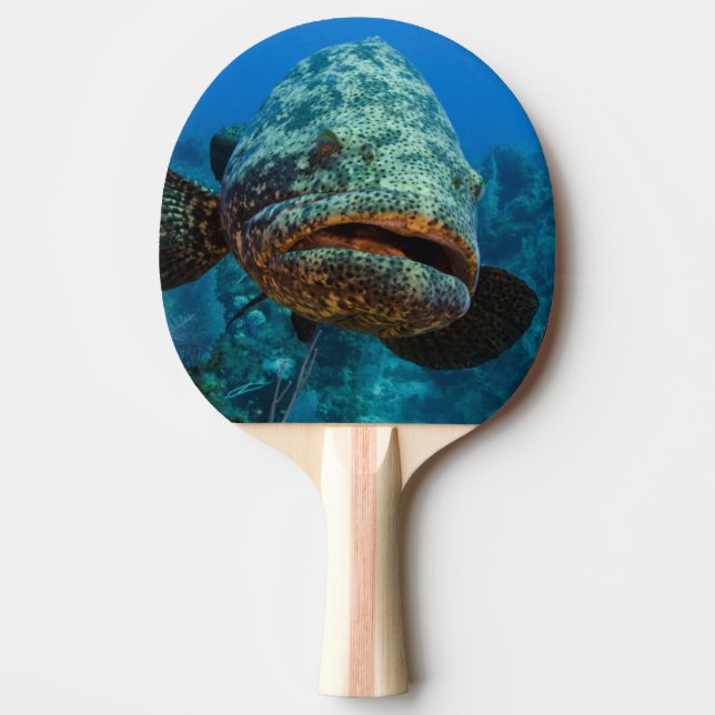 Raquette De Ping Pong Mérou géant de l'Atlantique (Devant)