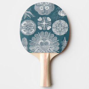 Raquette De Ping Pong Modèle IV de vie marine