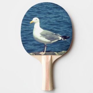 Raquette De Ping Pong Mouette Sur La Baie