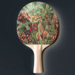 Raquette De Ping Pong Mousses, Muscinae Laubmoose par Ernst Haeckel<br><div class="desc">Muscinae Laubmoose par Ernst Haeckel Plantes Vintage Raquette de Ping Pong</div>