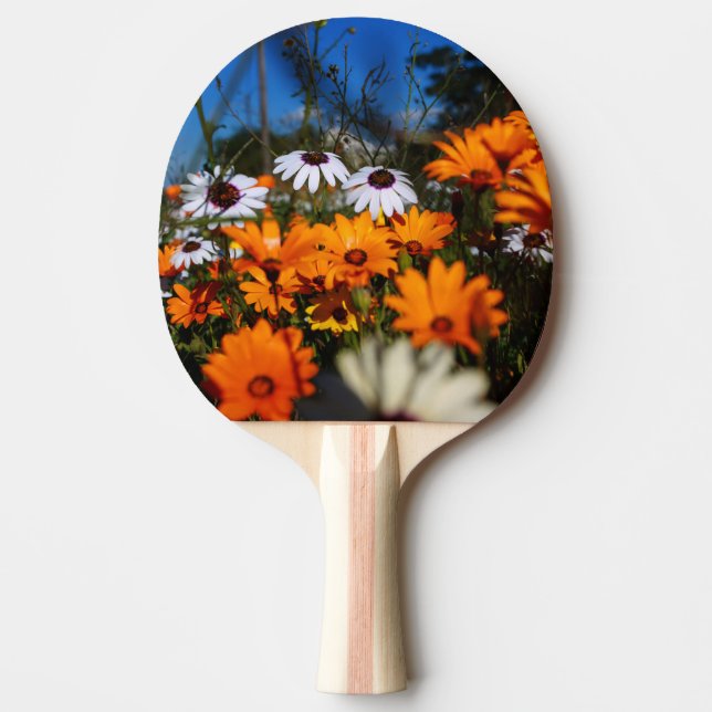 Raquette De Ping Pong Namaqualand fleurs florales (Devant)
