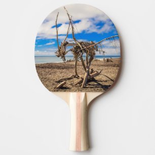 Raquette De Ping Pong Oeuvres d'art sur Hokitika Beach, Nouvelle-Zélande