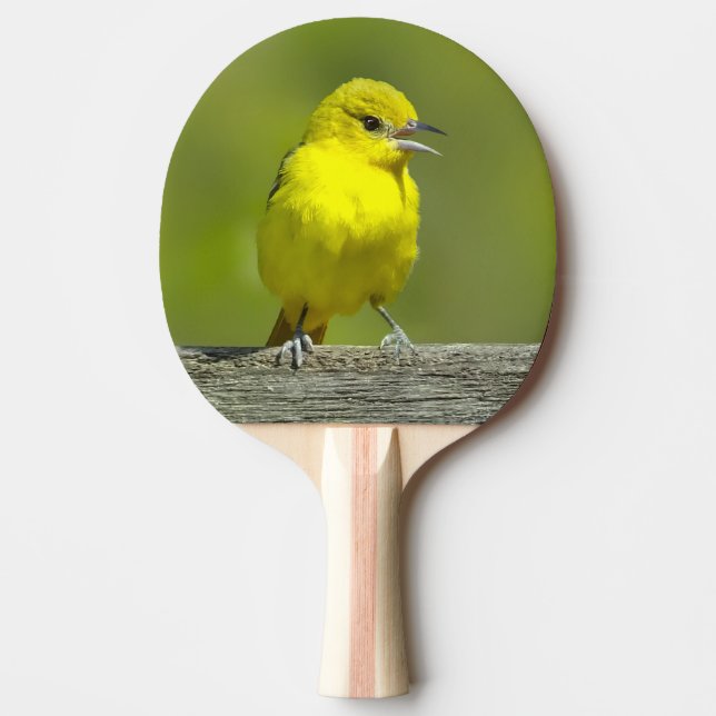Raquette De Ping Pong Orchard Oriole - Photo originale (Devant)