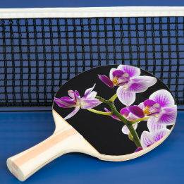 Raquette De Ping Pong Orchidée blanche et violette