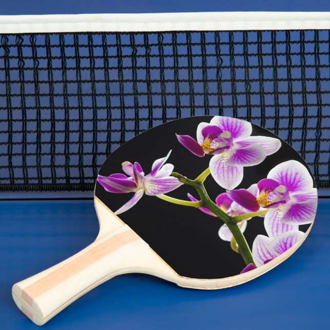 Raquette De Ping Pong Orchidée blanche et violette (Insitu)