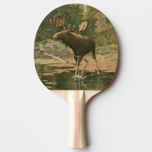 Raquette De Ping Pong Orignaux marchant dans l'eau