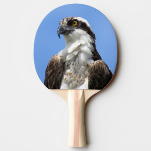 Raquette De Ping Pong Osprey - Oiseau - Ping Pong Paddle