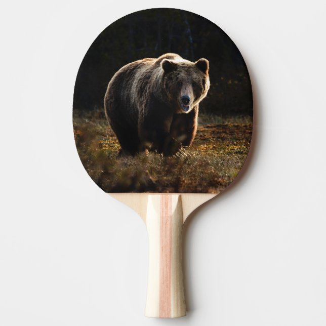 Raquette De Ping Pong Ours (Devant)
