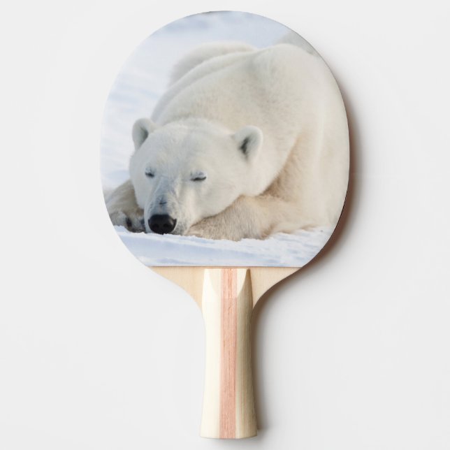 Raquette De Ping Pong Ours polaire en hiver (Devant)