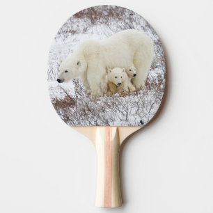 Raquette De Ping Pong Ours polaires femelle et deux oursons