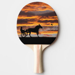 Raquette De Ping Pong Pagaie de course de chevaux de Troie standard
