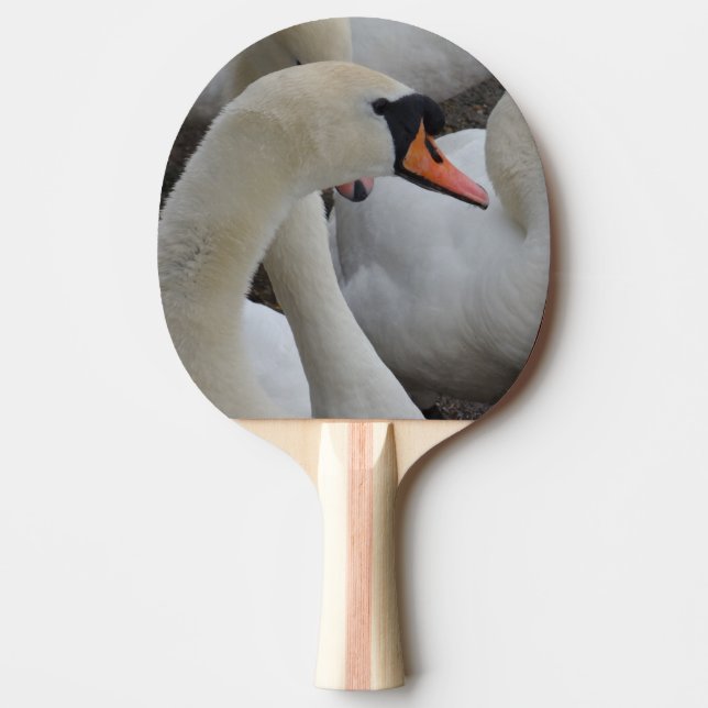 Raquette De Ping Pong Pagaie de ping de cygne blanc, dossier en caoutcho (Devant)