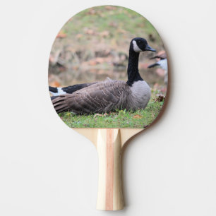 Raquette De Ping Pong Pagaie de ping-pong d'oie