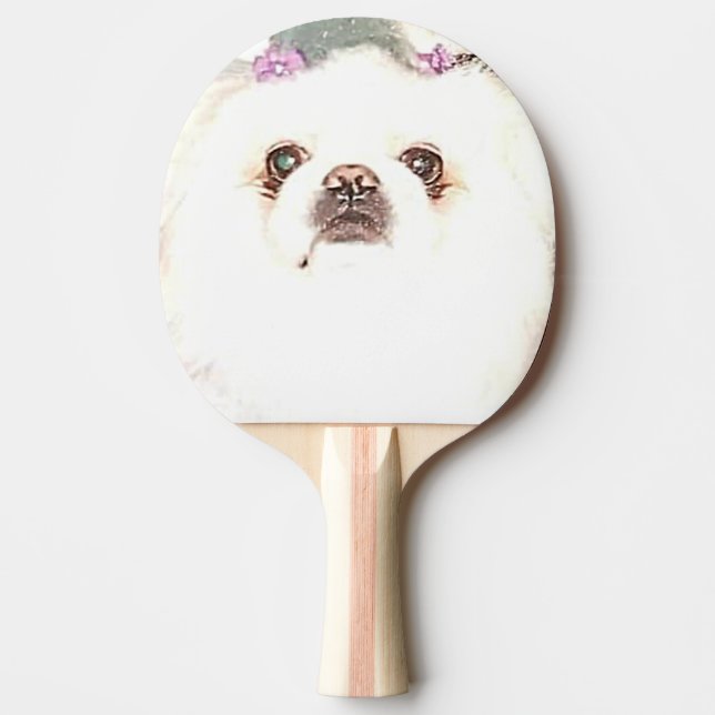 Raquette De Ping Pong Pagaie de ping-pong pour chien Pekingese blanc mig (Devant)