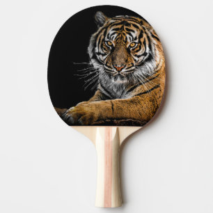 Raquette De Ping Pong Pagaie Ping Pong Avec Conception De Loin