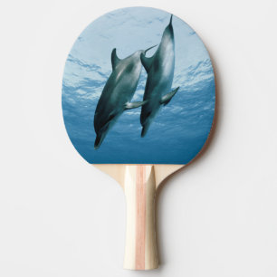 Raquette De Ping Pong Paire de dauphins