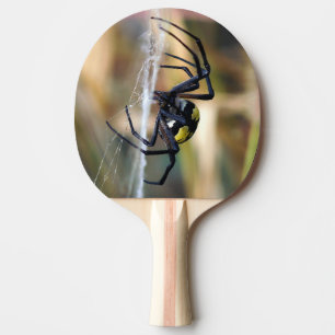 Raquette De Ping Pong Palette de ping-pong d'araignée de jardin