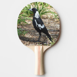 Raquette De Ping Pong Palette de ping-pong de pie australienne