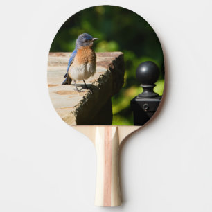 Raquette De Ping Pong Palette orientale de ping-pong d'oiseau bleu