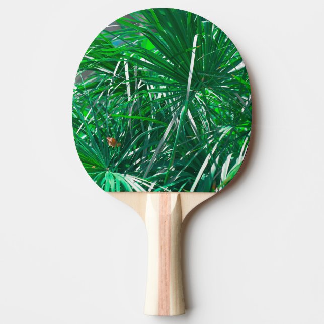Raquette De Ping Pong Palmier vert plante pastel feuille (Devant)