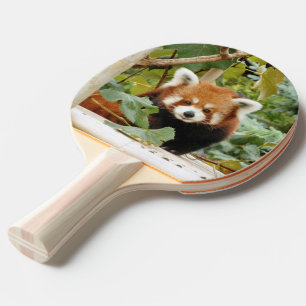 Raquette De Ping Pong Panda rouge