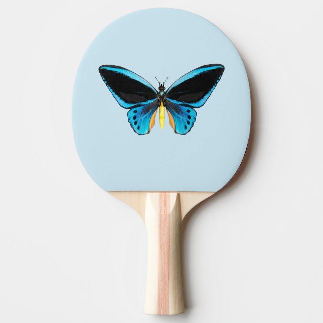 Raquette De Ping Pong Papillon Birdwing (Devant)