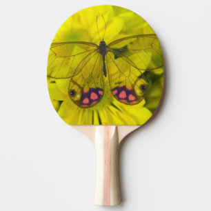 Raquette De Ping Pong Papillon sur Fleurs Jaunes