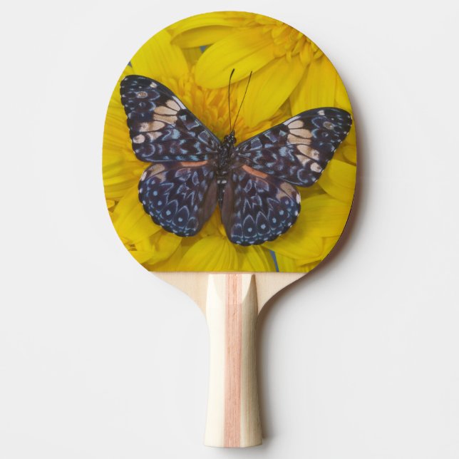 Raquette De Ping Pong Papillon sur une Fleur Jaune (Devant)
