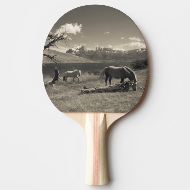 Raquette De Ping Pong Paysage avec chevaux (Devant)