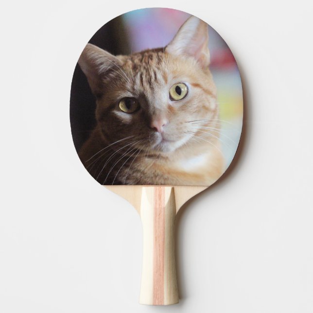 Raquette De Ping Pong Penny (Devant)