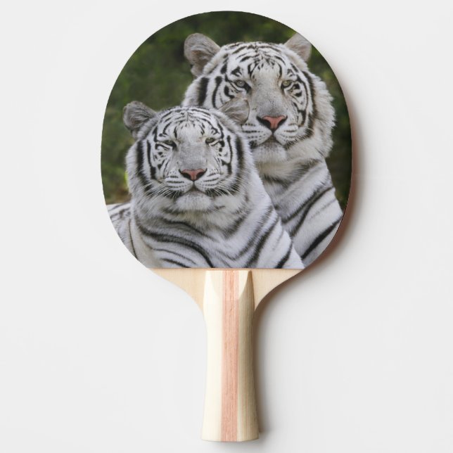 Raquette De Ping Pong Phase blanche, Tigre du Bengale, Tigris (Devant)