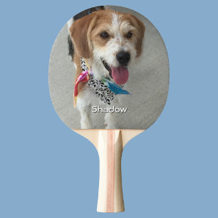 Raquette De Ping Pong Photo d'animal de compagnie ou photo d'enfant & no