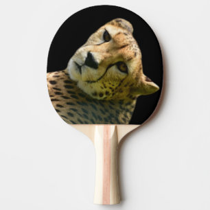 Raquette De Ping Pong Photo du zoo animalier sauvage de la jungle de gu
