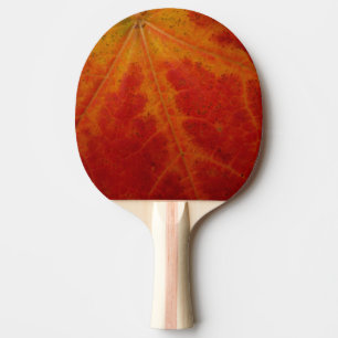 Raquette De Ping Pong Photographie abstraite de la feuille d'érable roug