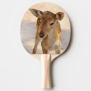 Raquette De Ping Pong Photographie de cerfs fantaisistes de la forêt