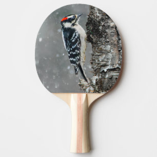 Raquette De Ping Pong Pic Downy en neige - Photo originale